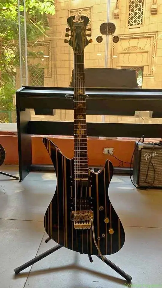Schecter synyster gates custom shop
