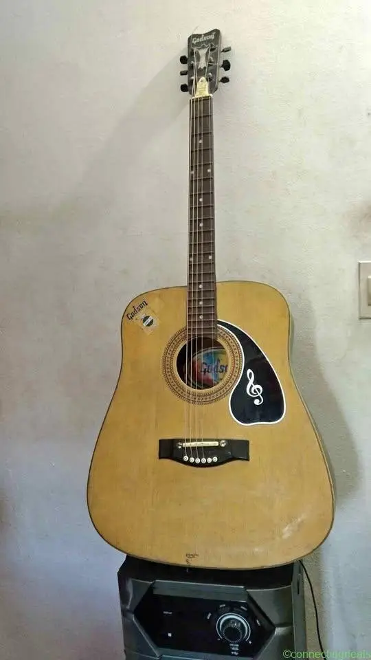 Guitar