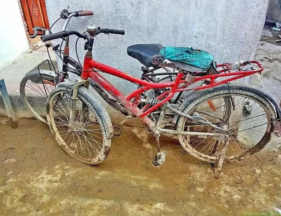 Bicycle