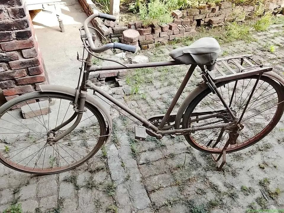 Cycle
