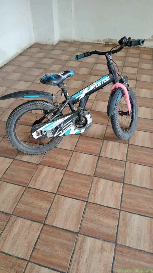BICYCLES - Image 1