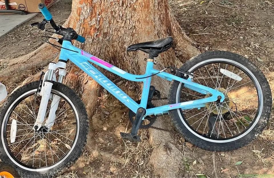 Schwinn bike