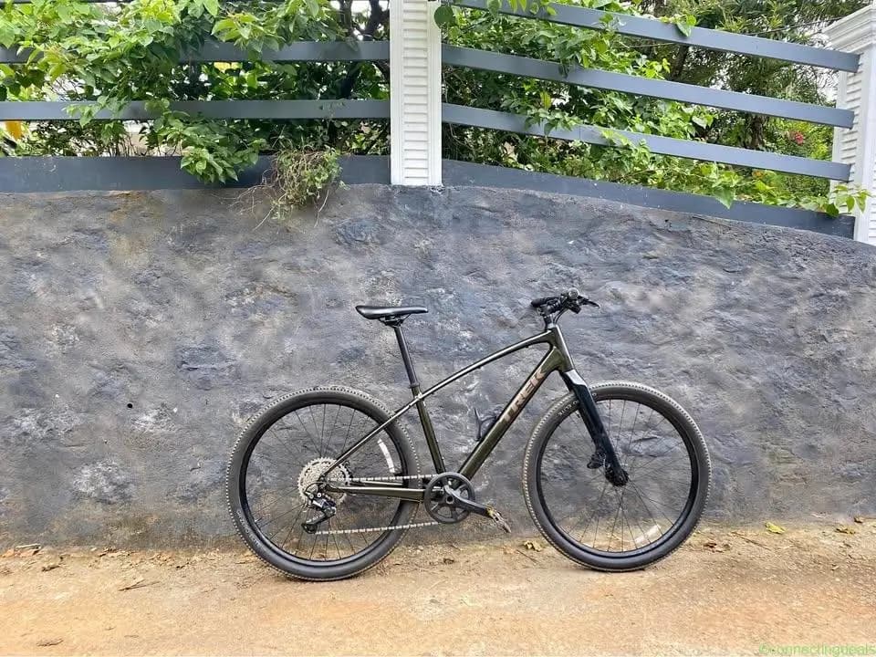 Trek Dual sport 3 (M size )
