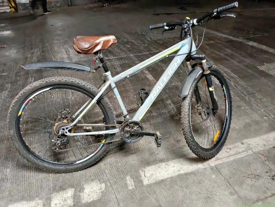 RALEIGH COMPONY CYCLE
