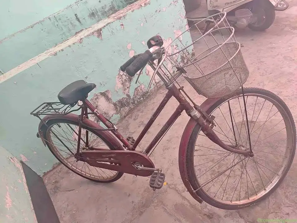 Ladies Ciycle For Sale Good condition Basket & - Image 1