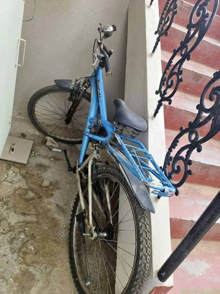 Bicycle for sale