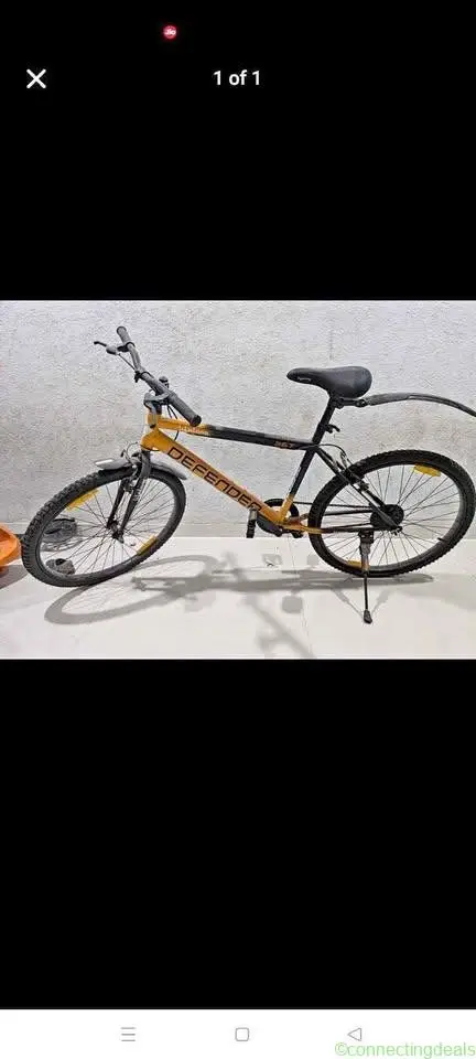 Adult bicycle
