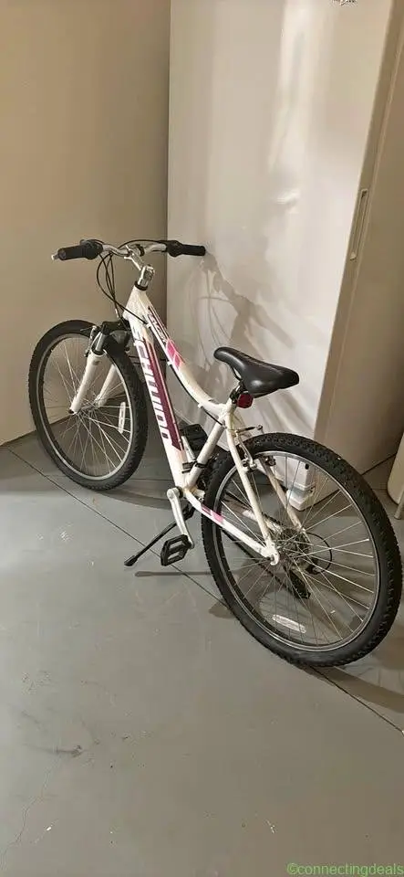 Schwinn Ranger Mountain Bike