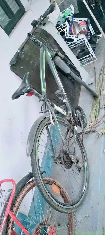Gear Hybrid Bicycle