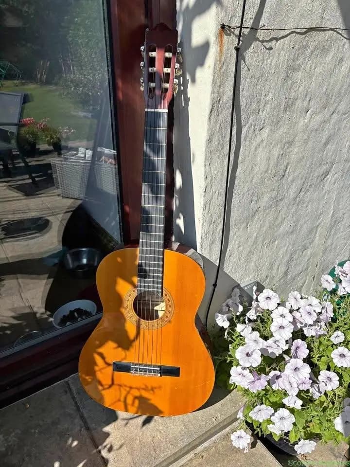 Guitar - Image 1