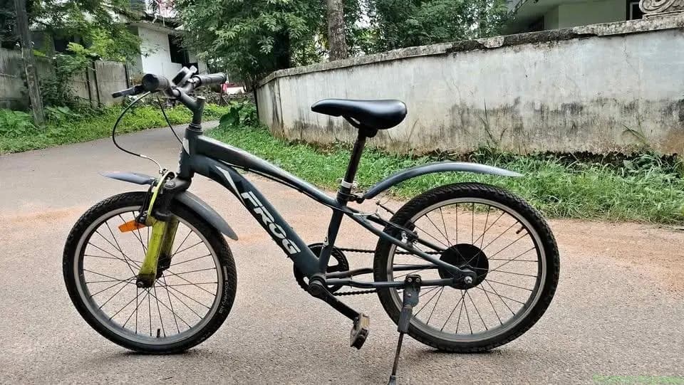 Cycle sale (Frog model)
