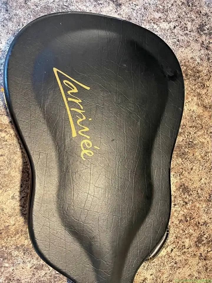 Larrivée SD-60 acoustic guitar with K&K Pure Mini