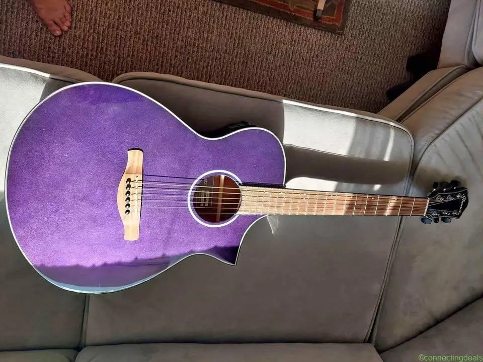 Ibanez acoustic electric guitar/ Roadrunner Case
