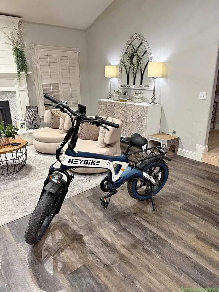 Electric Bike