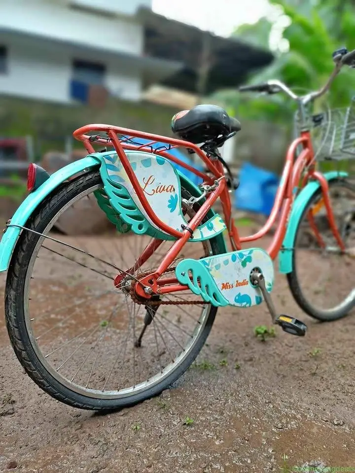 Ladybird cycle
