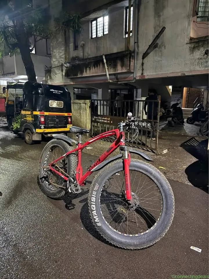 Fat tyre cycle