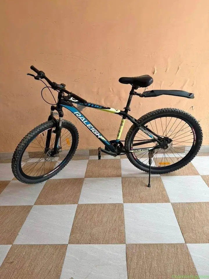 RALEIGH Single Speed Bicycle