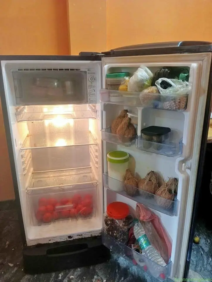 Fridge