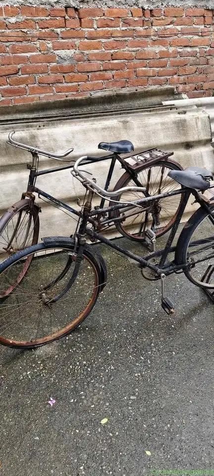 2 Cycle