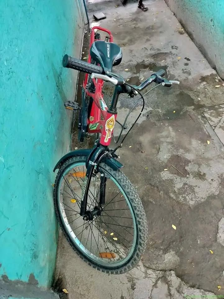 New cycle - Image 1