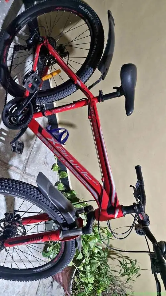 X bicycle - Image 1