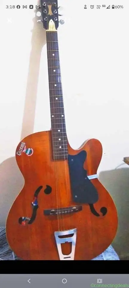 Guitar