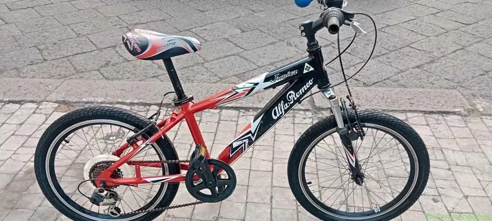 Bicicletta Mountain bike 20 Alfa Romeo junior
