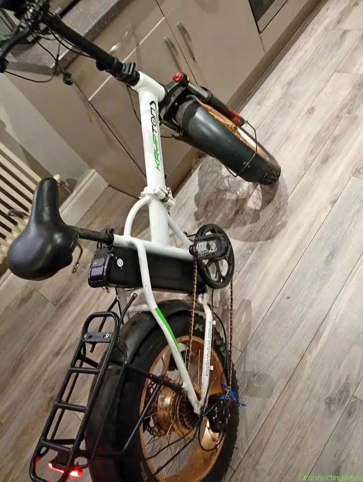 Electric bike