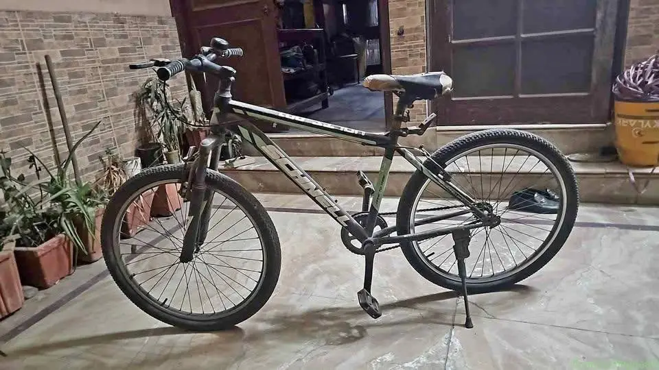 Schnell brand single speed cycle