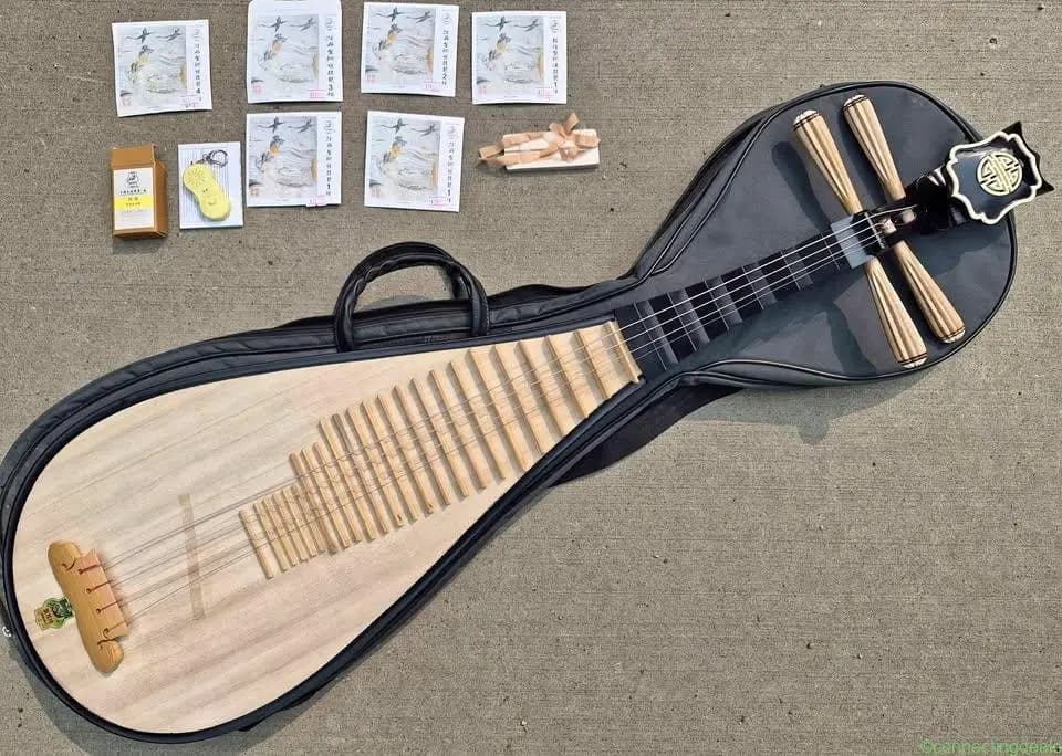 Chinese music instrument string instrument with