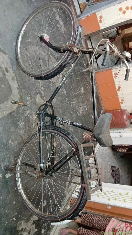 Cycle