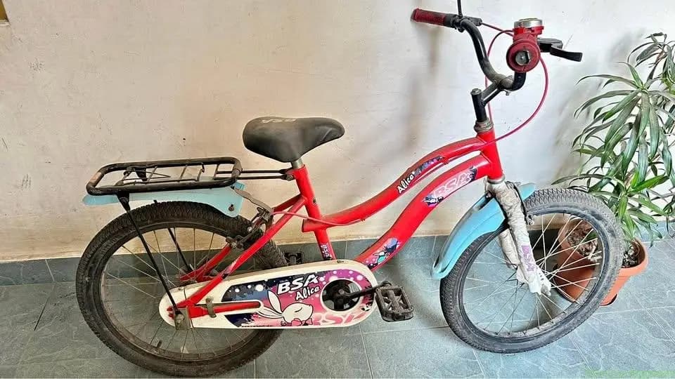 Kids Bicycle 20inch