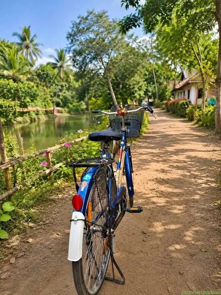 Blue Step-Through City Bicycle