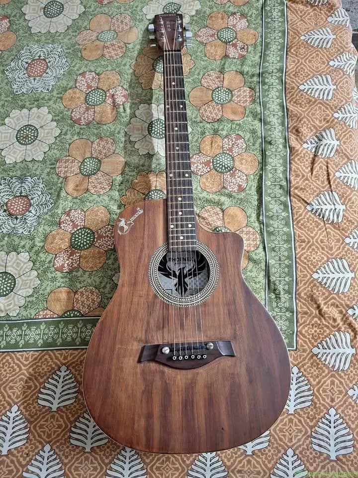 Guitar