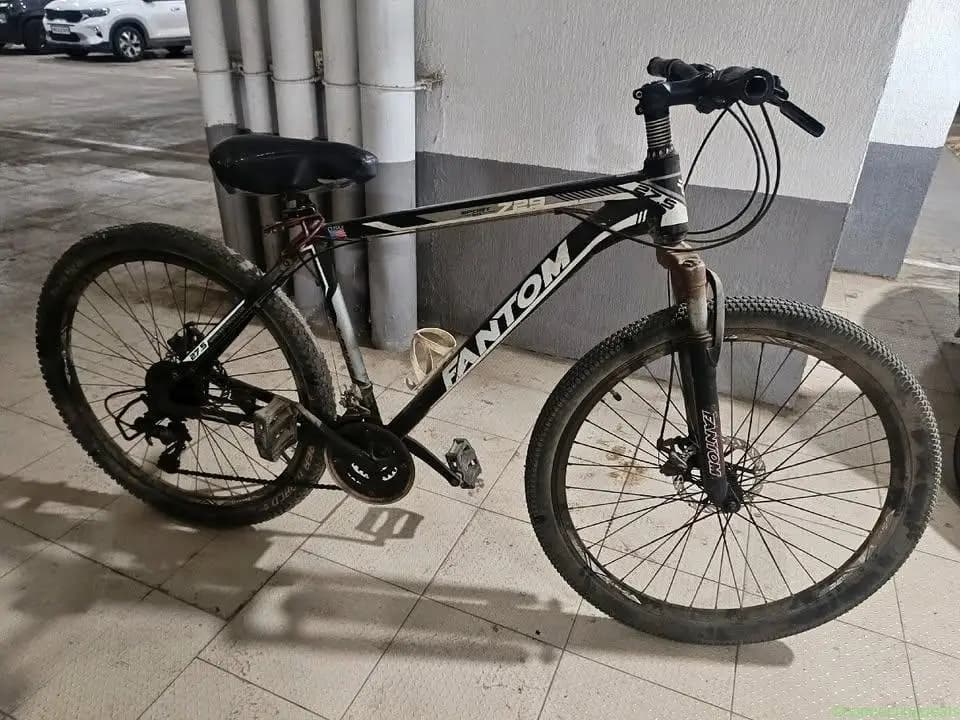 Bicycle+