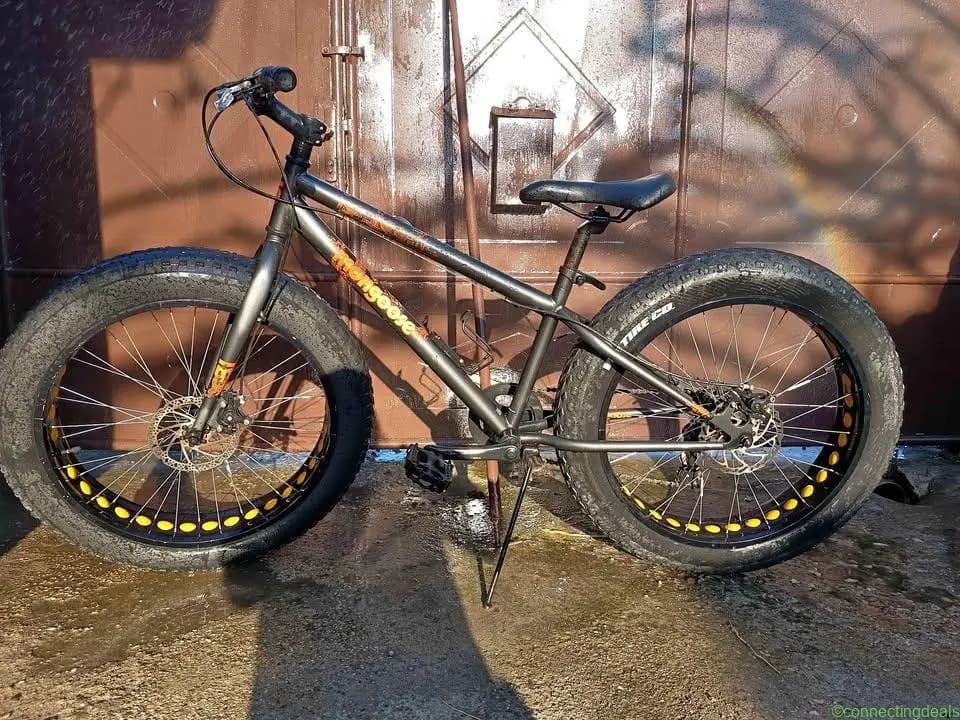 Bicicleta - Image 1
