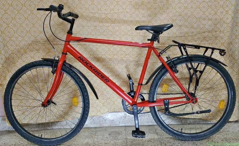 Roadster Adult Cycle