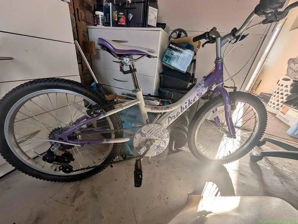 girls mountain bike bicycle