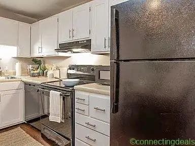 1 Bed 1 Bath Apartment