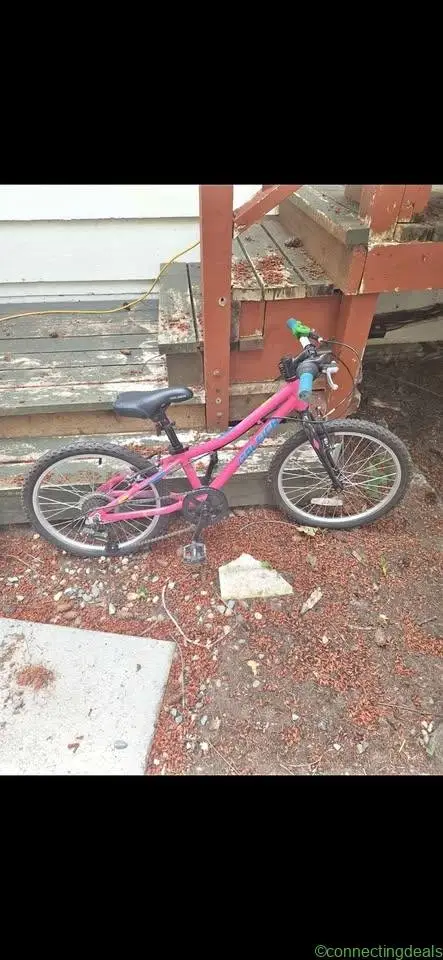 Raleigh Kids