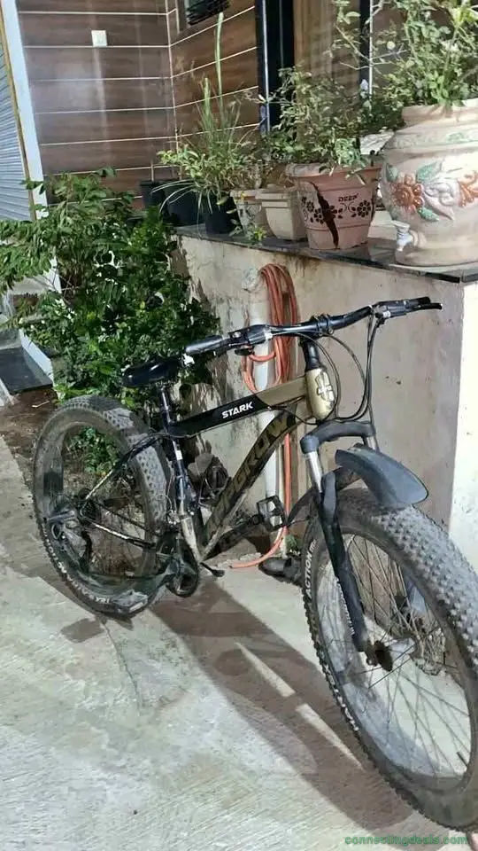 Fat bike for sale