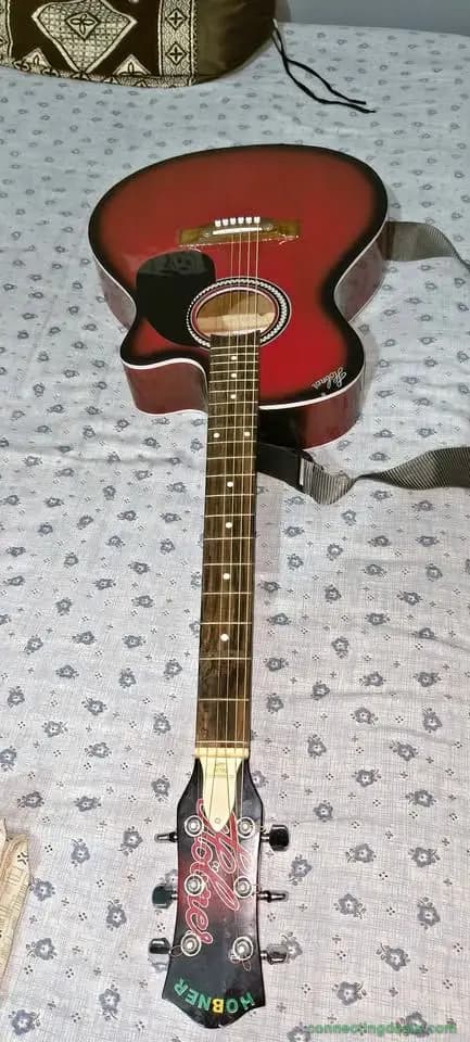 Hobner guitar
