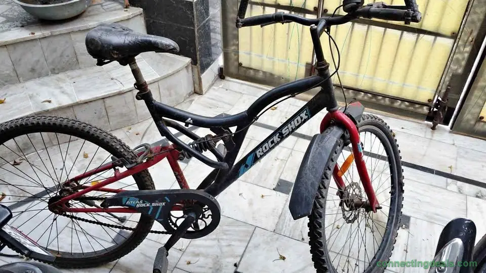 Cycle