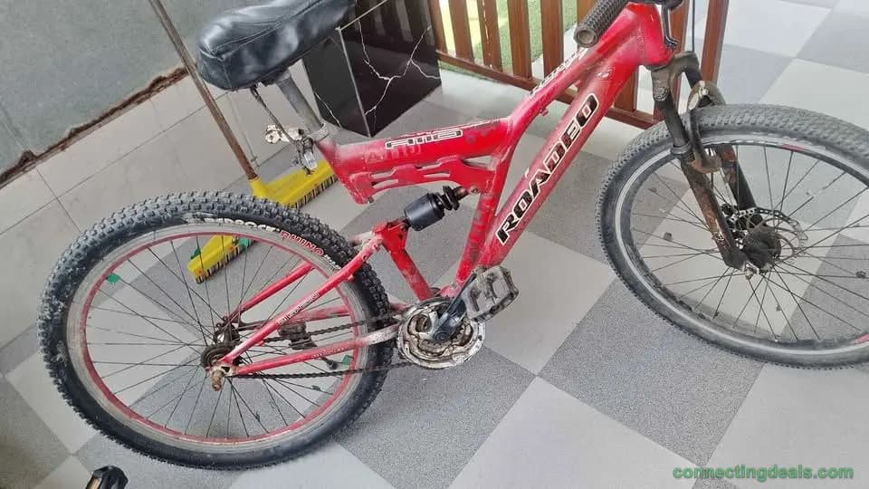 Roadeo A110 Mountain Bike