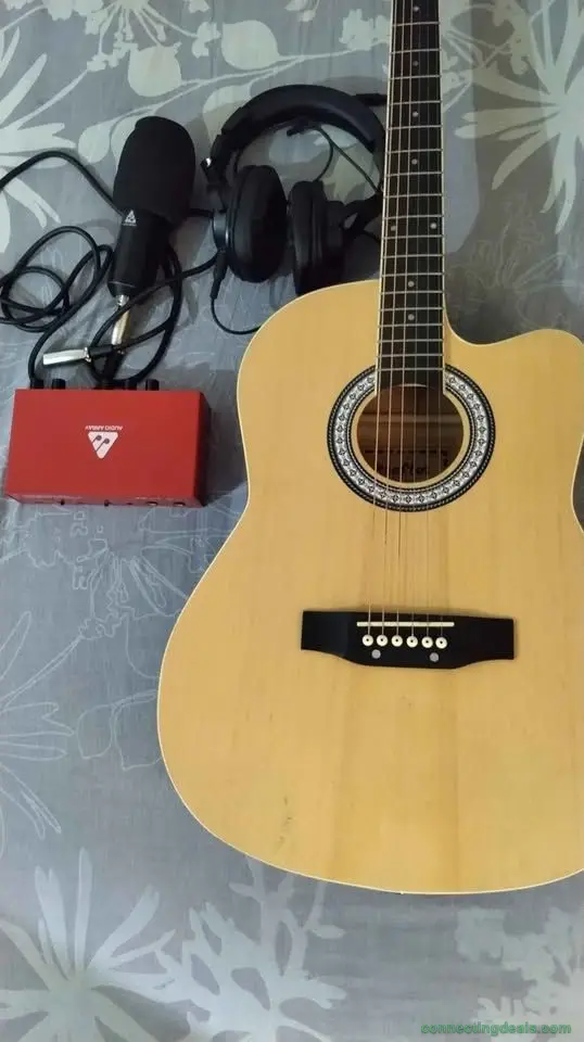 Guitar & Sound Card & condensor mike & Headphone.