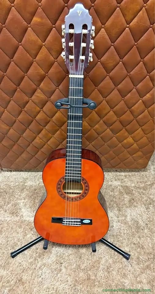 Guitar and stand