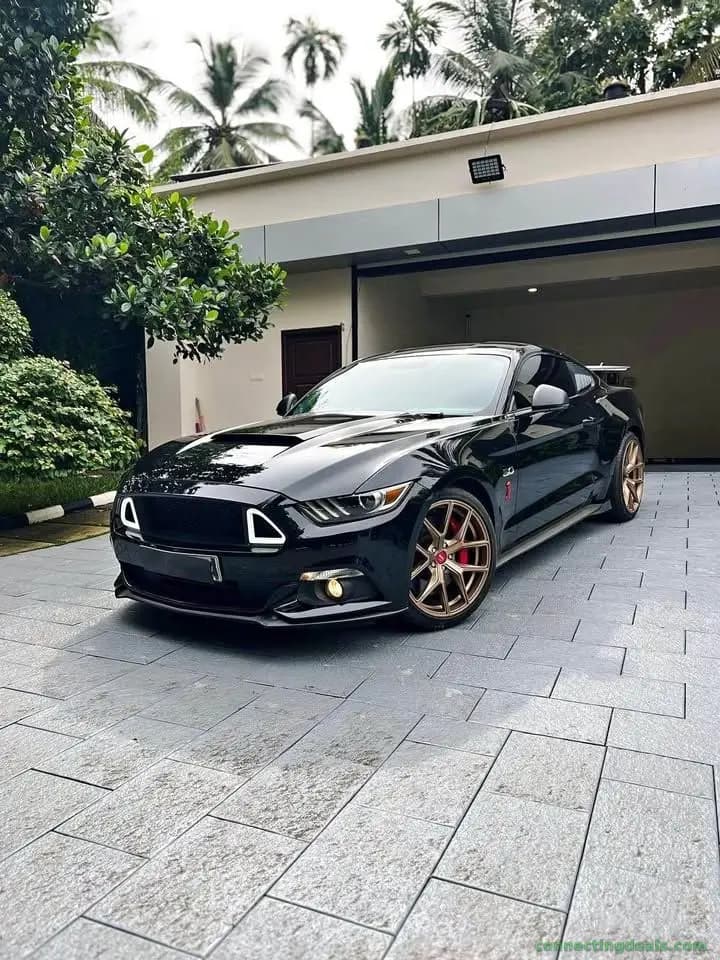 Ford Mustang 5.0