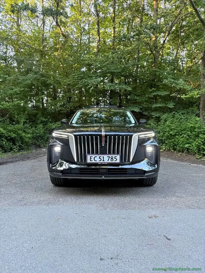 Hongqi E-HS9 99 PREMIUM