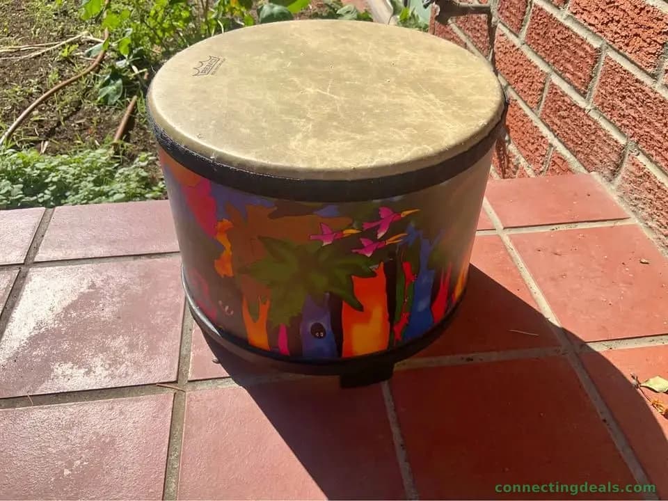 Remo Hand Drum