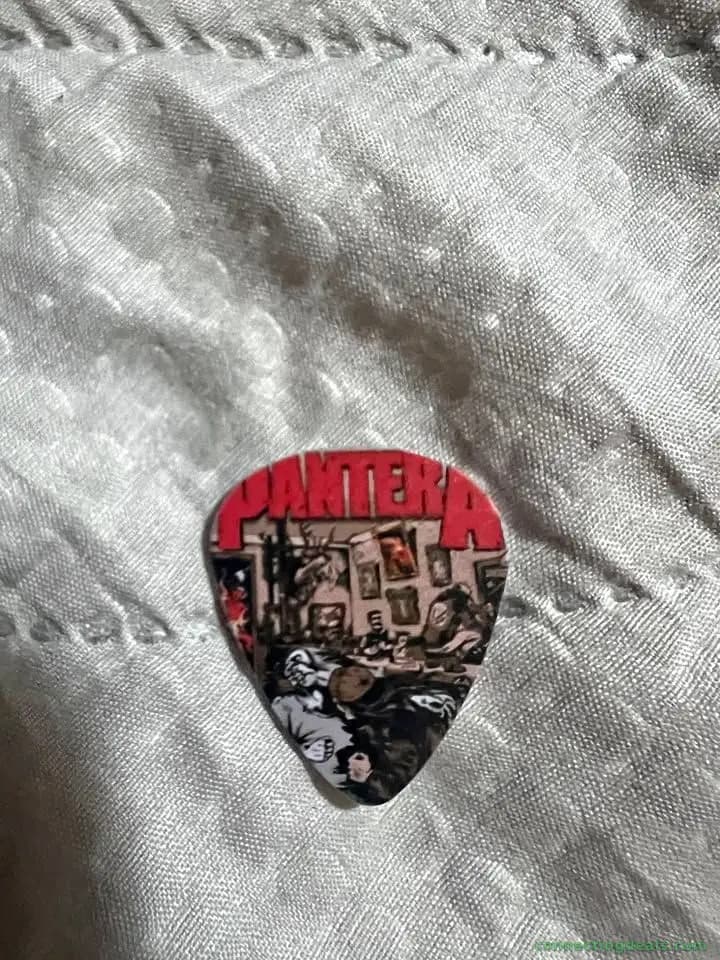 Picks Guitar